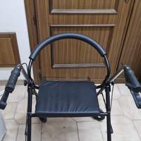 Carrello deambulatore