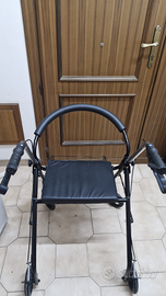 Carrello deambulatore