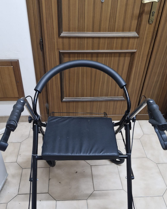 Carrello deambulatore