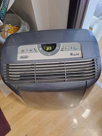 Pinguino condizionatore