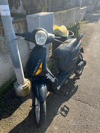 Zenith zingarello 2019