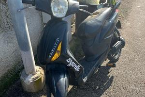 Zenith zingarello 2019