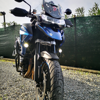 Triumph TIGER 1200 GT PRO 2023