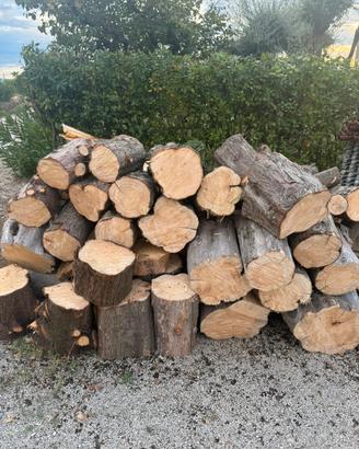 Legna da ardere
