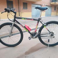 BICICLETTA CON CAMBIO SHIMANO