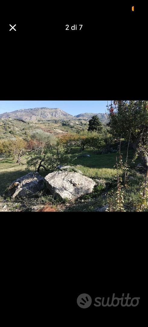 Terreno con alberi da frutto - Vista 2