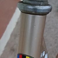  coppia di bici da passeggio 