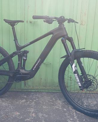 avinox ebike steppenwolf tundra 9.0  carbon