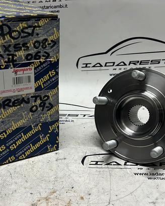 Cuscinetto Ruota Ant Santa Fè-Sorento 51720-2B000