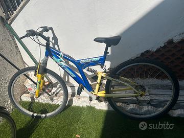 Bici adulti