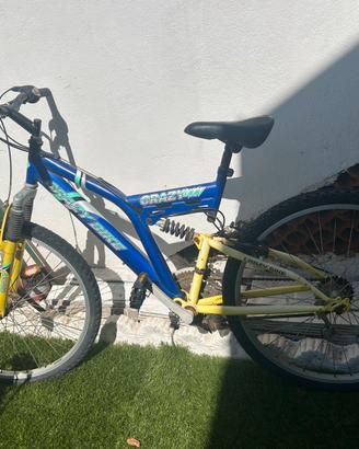 Bici adulti