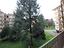 Immagine 27
