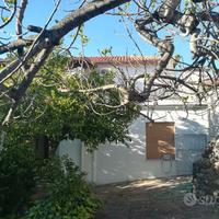 Casa indipendente in Sardegna tra mare e monti