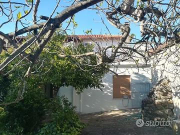 Casa indipendente in Sardegna tra mare e monti