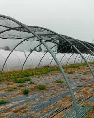 SERRA 6 X 16 TUBO DA 6 RESISTENTE ENTRO GIOVEDÌ 2 