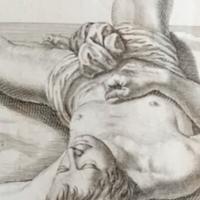 stampa antica di anatomia rarissima xilografia 