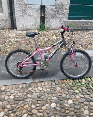 bicicletta 20