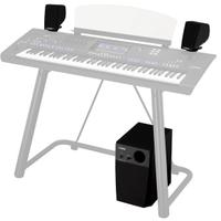 Yamaha GNS MS01 SISTEMA AMPLIFACIONE PER GENOS2