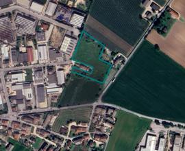 Terreni agricoli a Povegliano Veronese (VR)