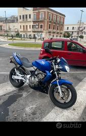 Honda hornet
