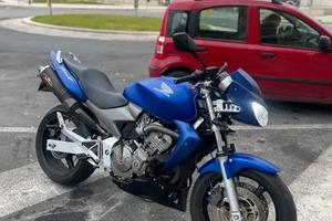 Honda hornet