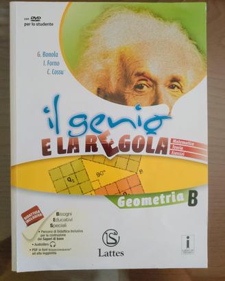 Il genio e la regola Geometria B