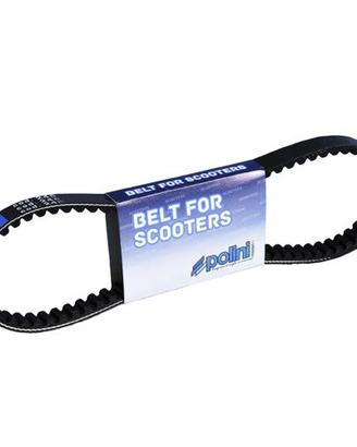 Cinghia scooter Polini 248011 Piaggio Malaguti Kee