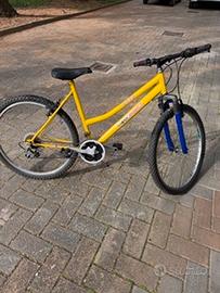 Bicicletta 26