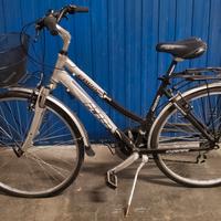 Bicicetta da passeggio