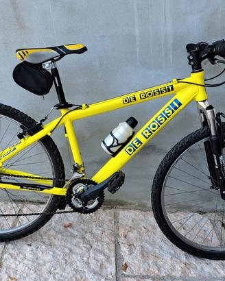 Bicicletta mountain bike
