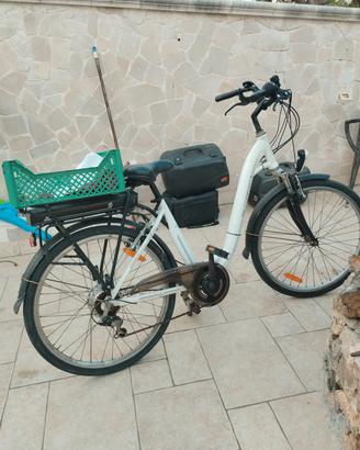 bici elettrica 
