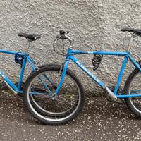 2 biciclette mountain bike