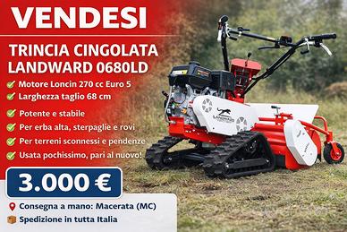 Trincia cingoli - motore a scoppio 4 tempi