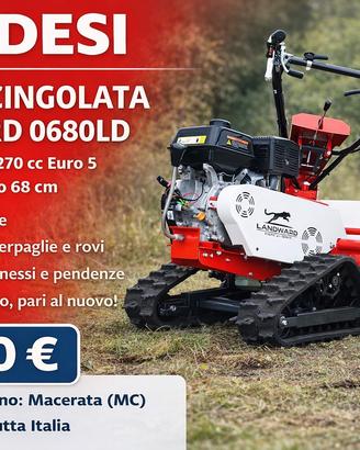 Trincia cingoli - motore a scoppio 4 tempi