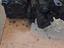 Immagine 4
