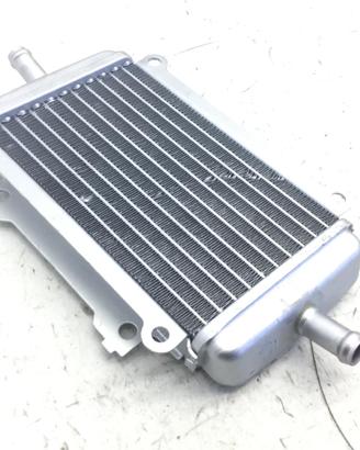 PIAGGIO VESPA GTS SUPER ABS KM 0 300 RADIATORE DES