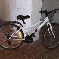 Bicicletta ragazza 12/14 anni