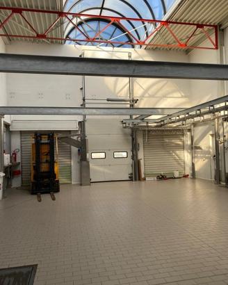 Capannone indipendente con celle frigo