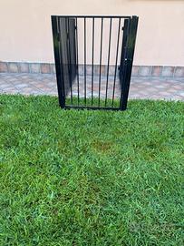 Recinto per cani