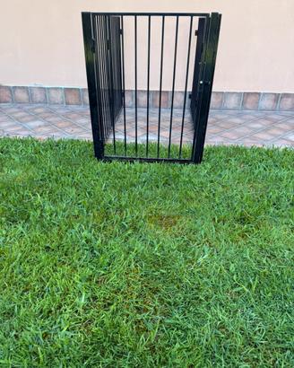 Recinto per cani