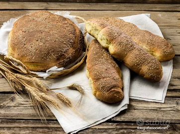 Panettiere esperto nel settore