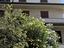 Immagine 26