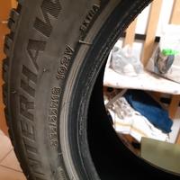 Gomme Invernali Firestone