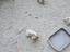 Immagine 3