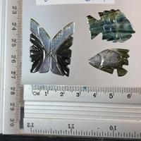 indicoliti 