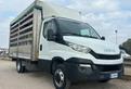Iveco Daily 35C15 centinato - 2015 - 3.0 -150CV