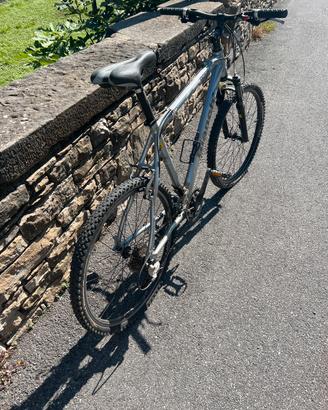 Bicicletta Bianchi mtb