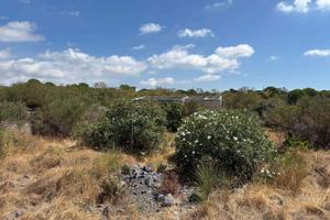 Rif.LA77| rustico camporotondo etneo