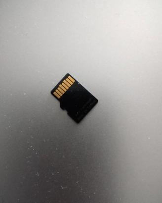 memorie micro sd 1gb 2gb 4gb 8gb 16gb 32gb 64gb