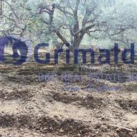 Terreno Agricolo Bagheria [TerM/1VCG]